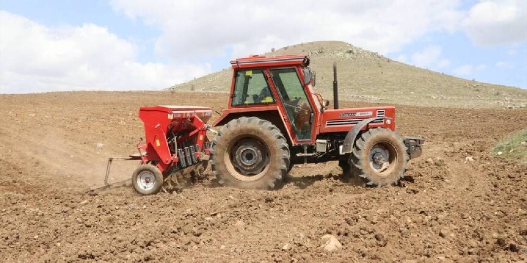 Yağışlar çiftçiyi umutlandırdı: Nohutta rekolte beklentisi arttı 2